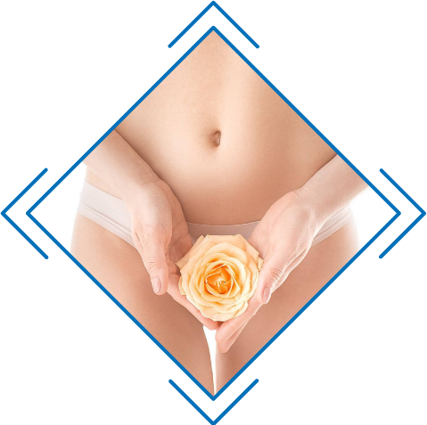 estetica-intima estetica-intima