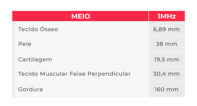 Ultrassom Ultrassom