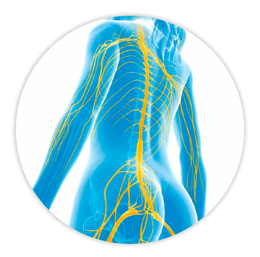 aplicacao-tecarterapia-fisioterapia aplicacao-tecarterapia-fisioterapia