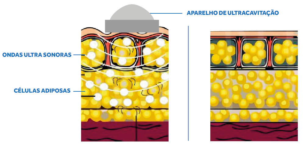 efeitos fisiologicos efeitos fisiologicos